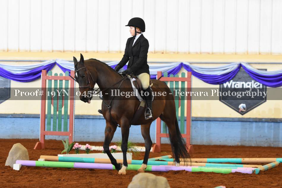 Proof 19YN_04524