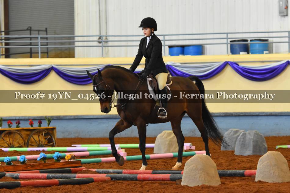 Proof 19YN_04526