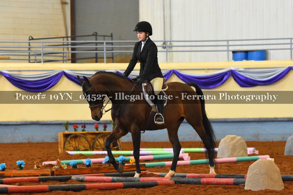 Proof 19YN_04527