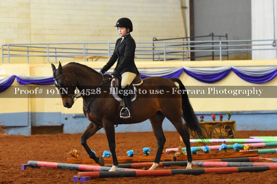 Proof 19YN_04528