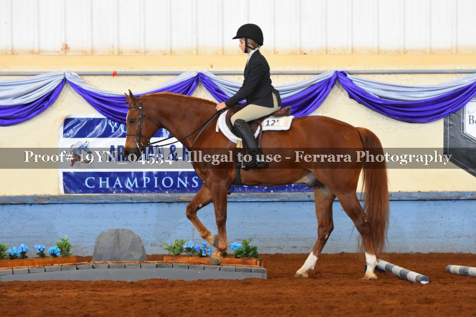 Proof 19YN_04534