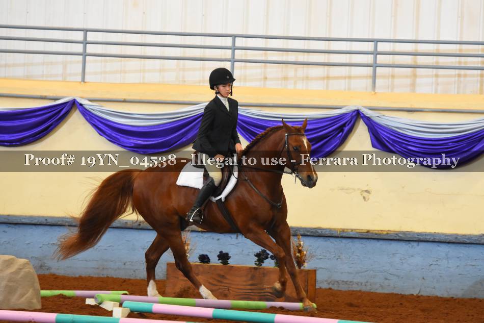 Proof 19YN_04538