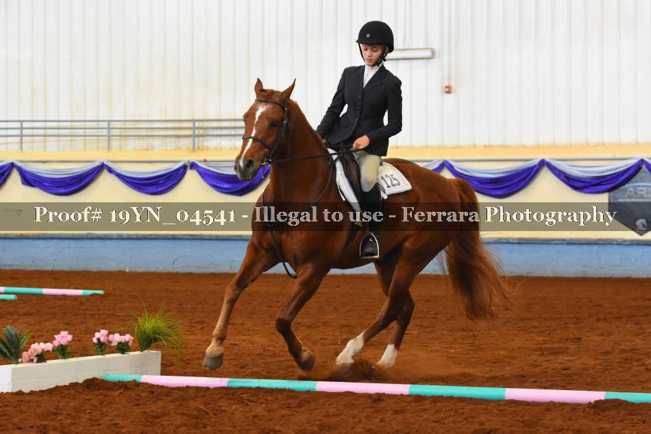 Proof 19YN_04541