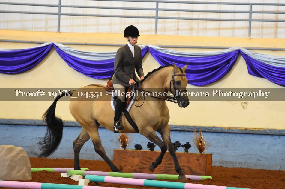 Proof 19YN_04551