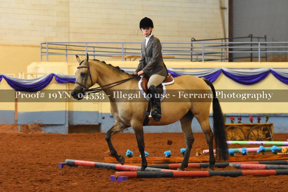 Proof 19YN_04553