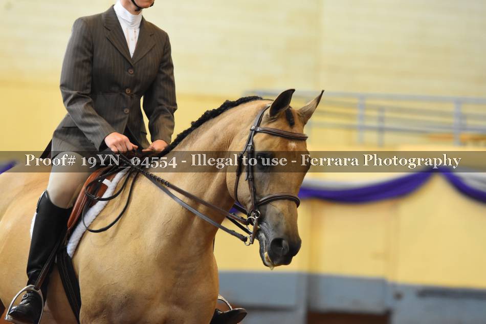 Proof 19YN_04554