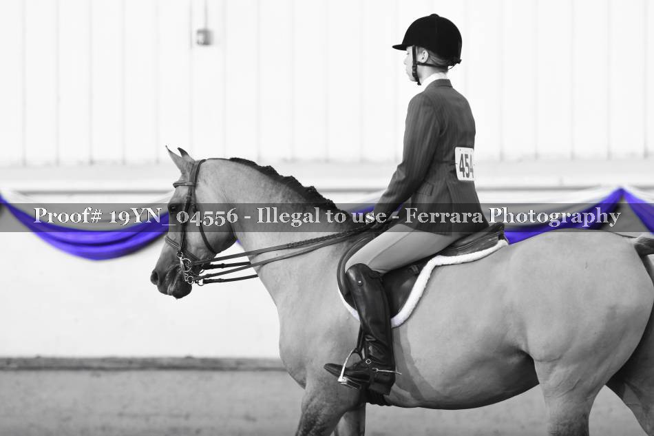 Proof 19YN_04556
