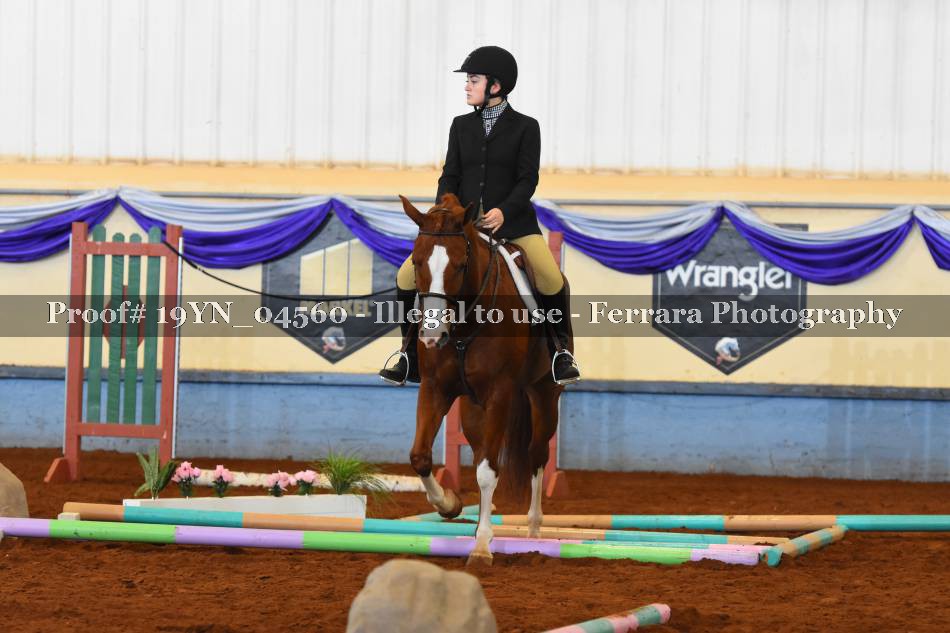 Proof 19YN_04560