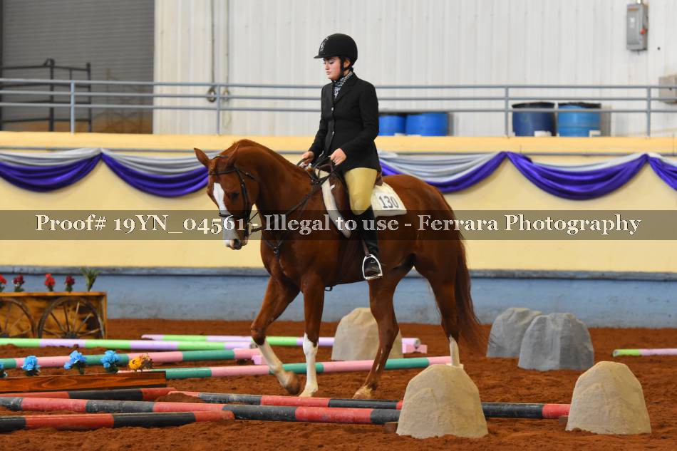 Proof 19YN_04561