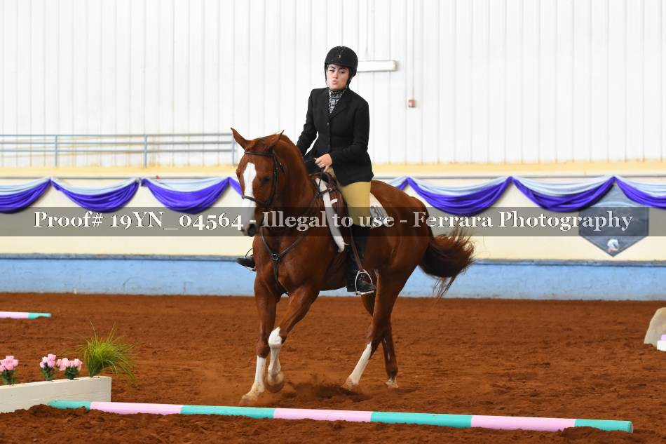 Proof 19YN_04564