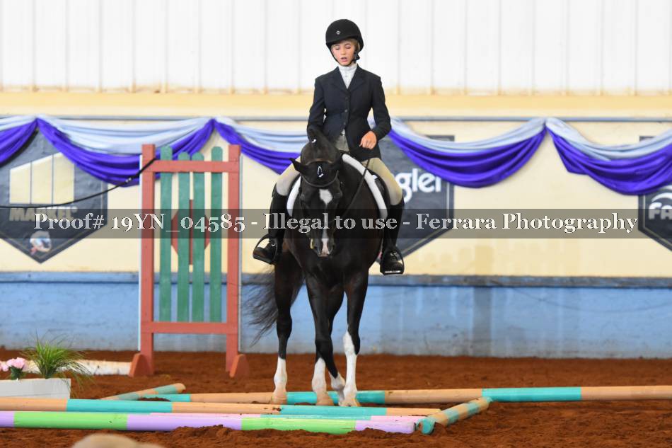 Proof 19YN_04585