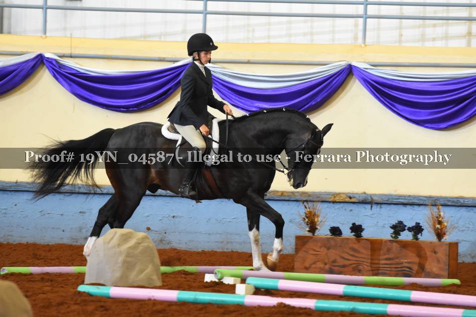 Proof 19YN_04587