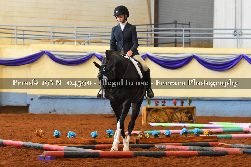 Proof 19YN_04590