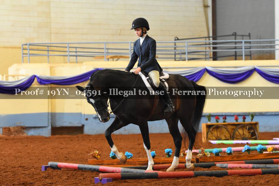 Proof 19YN_04591
