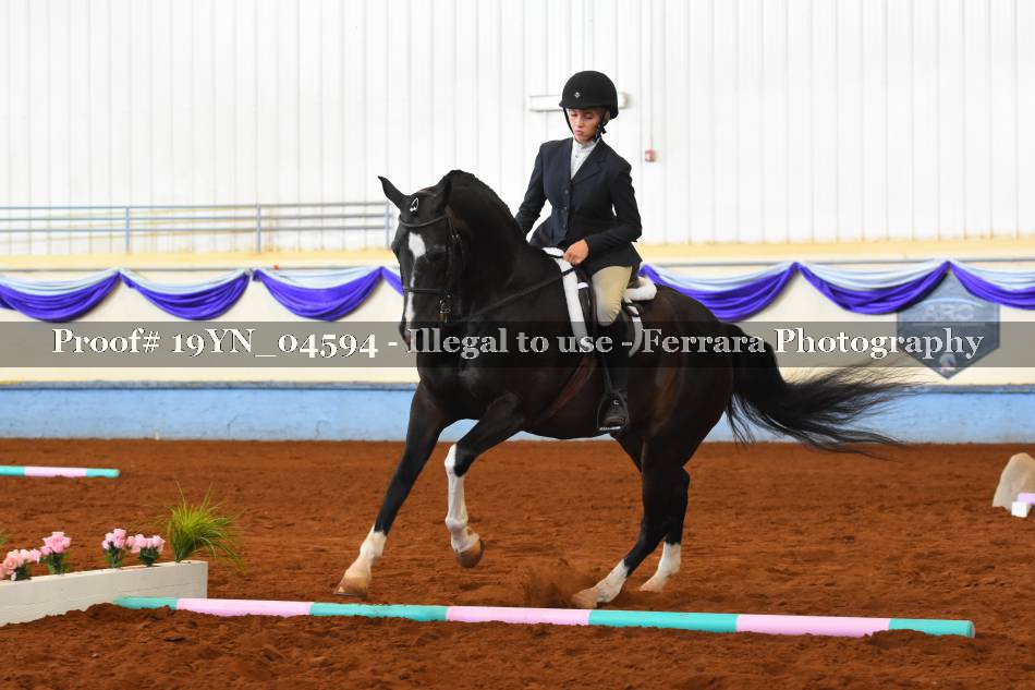 Proof 19YN_04594