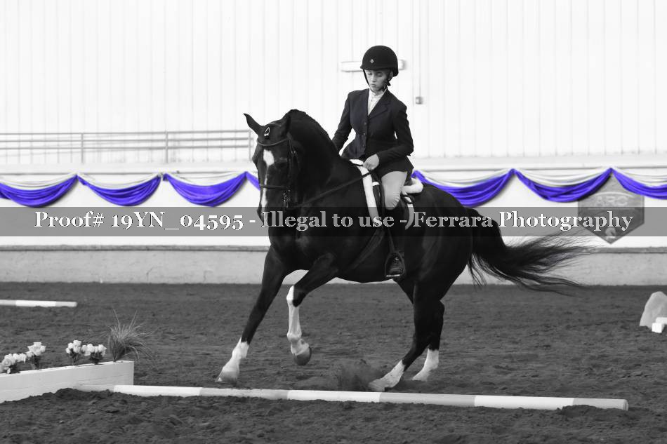 Proof 19YN_04595