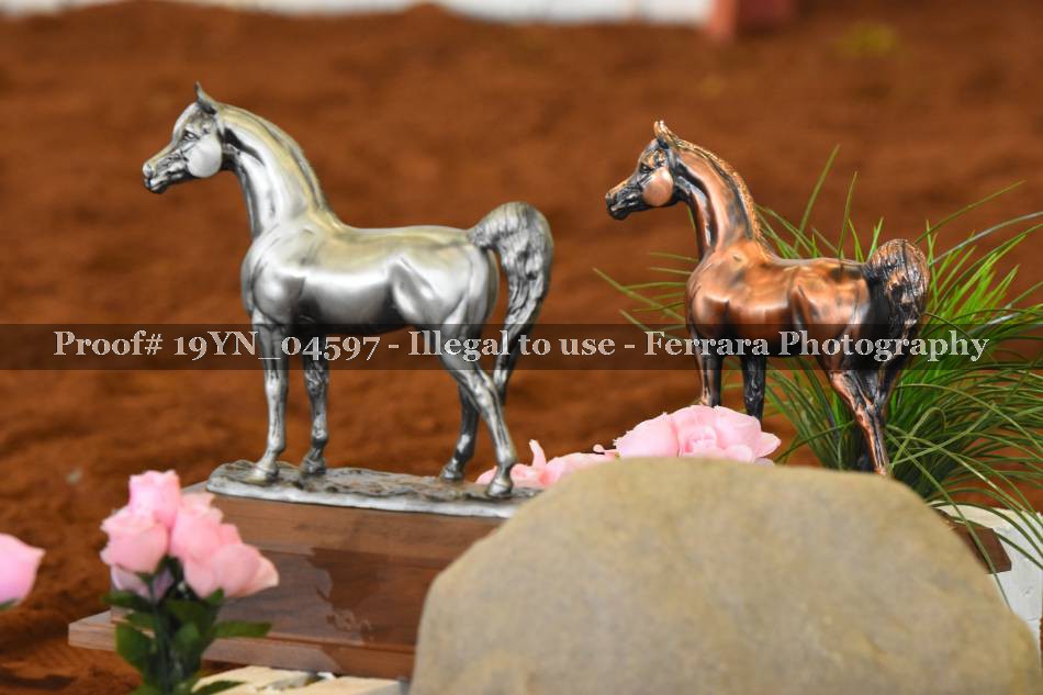 Proof 19YN_04597