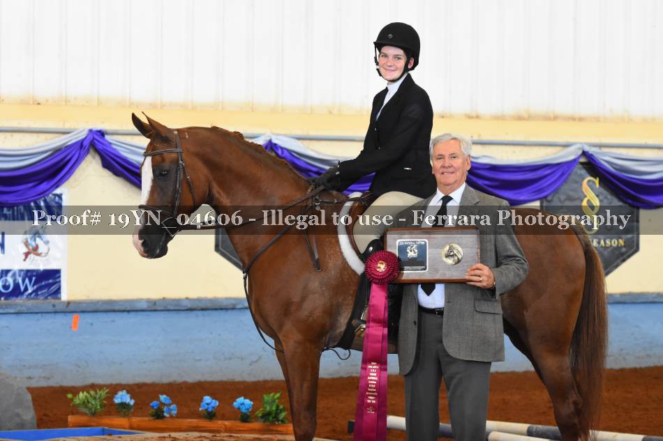 Proof 19YN_04606
