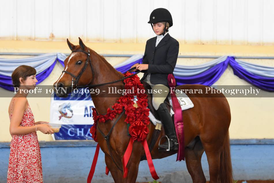 Proof 19YN_04629
