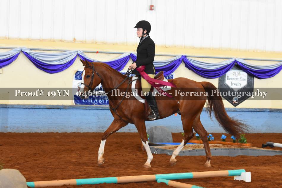 Proof 19YN_04637