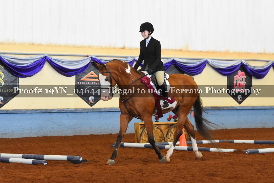 Proof 19YN_04644