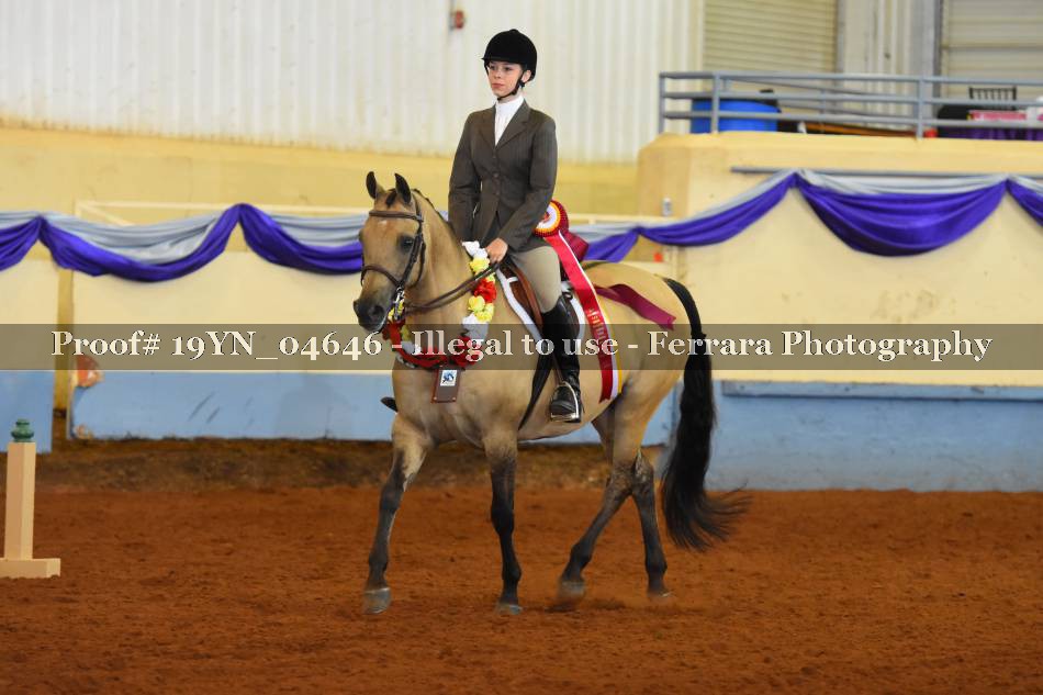 Proof 19YN_04646