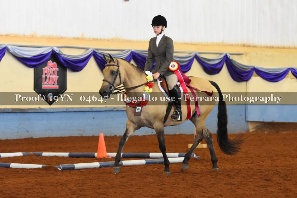 Proof 19YN_04647