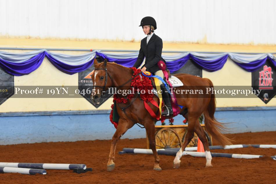 Proof 19YN_04651