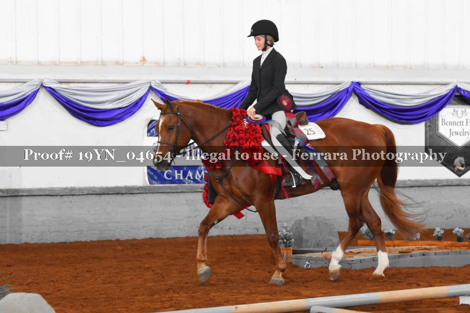 Proof 19YN_04654
