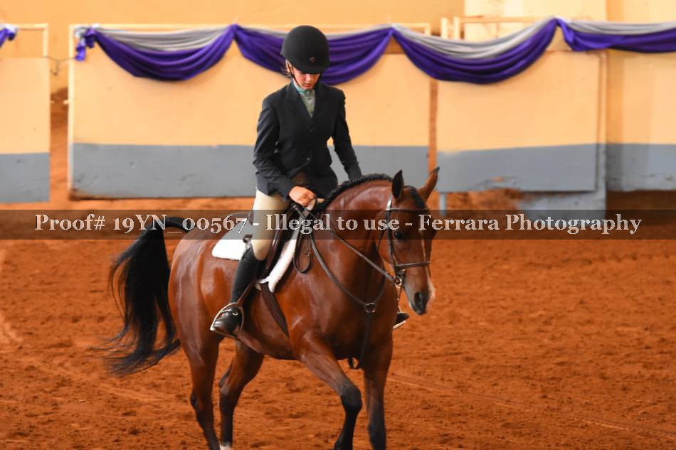 Proof 19YN_00567