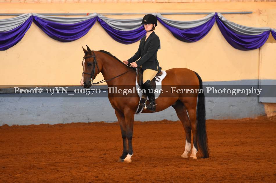 Proof 19YN_00570