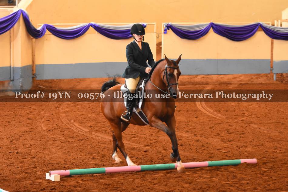 Proof 19YN_00576