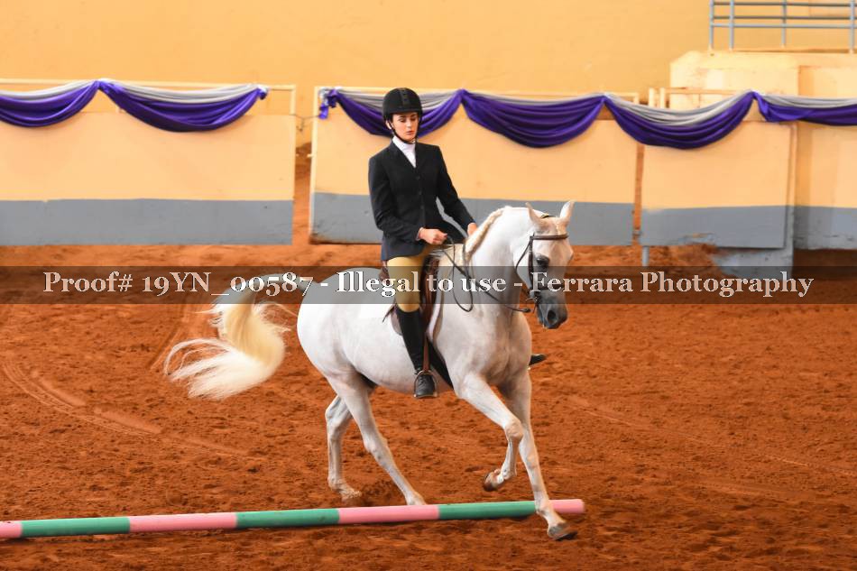 Proof 19YN_00587