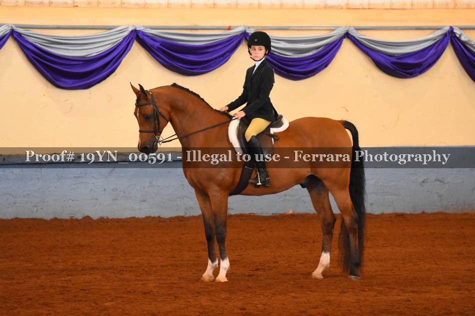 Proof 19YN_00591