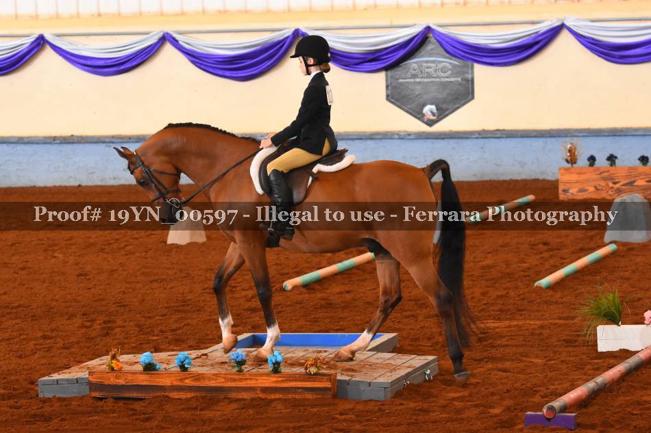 Proof 19YN_00597