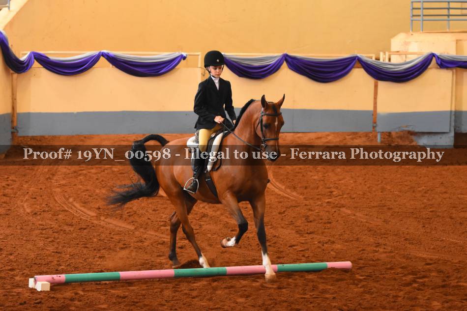 Proof 19YN_00598