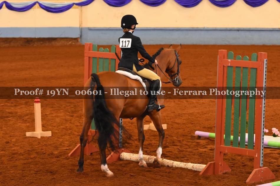 Proof 19YN_00601