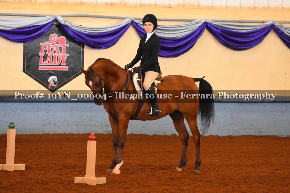 Proof 19YN_00604
