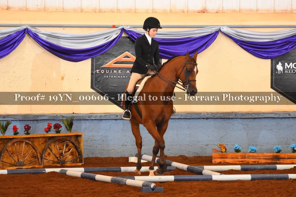 Proof 19YN_00606