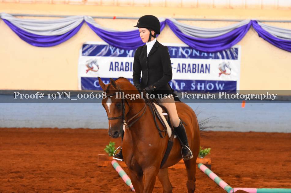 Proof 19YN_00608