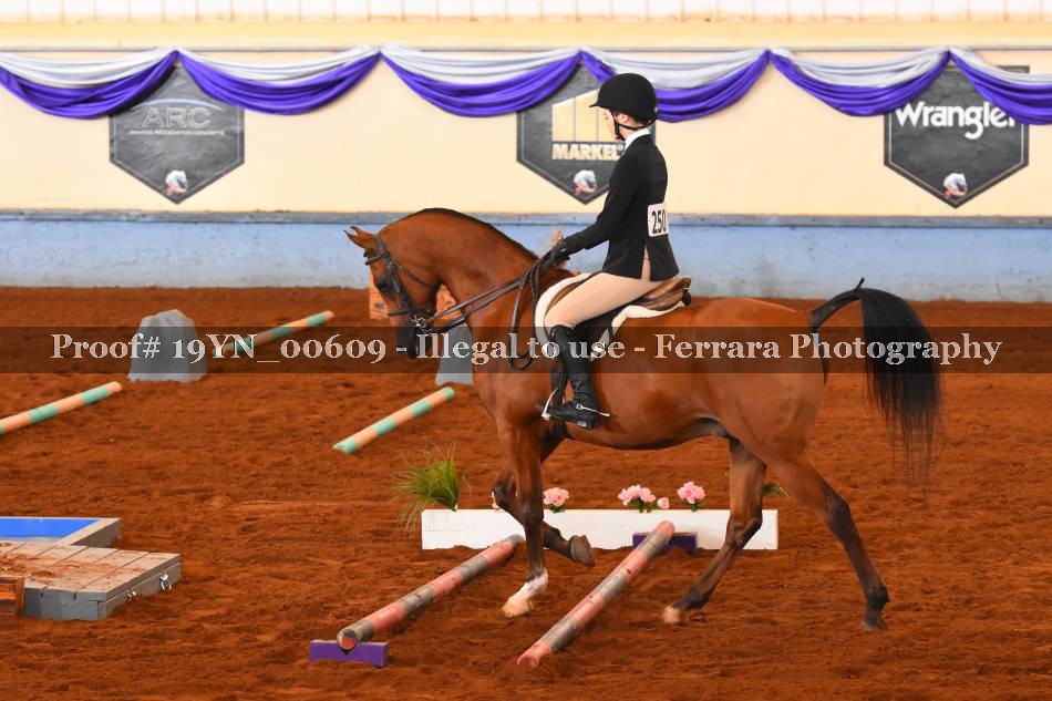Proof 19YN_00609