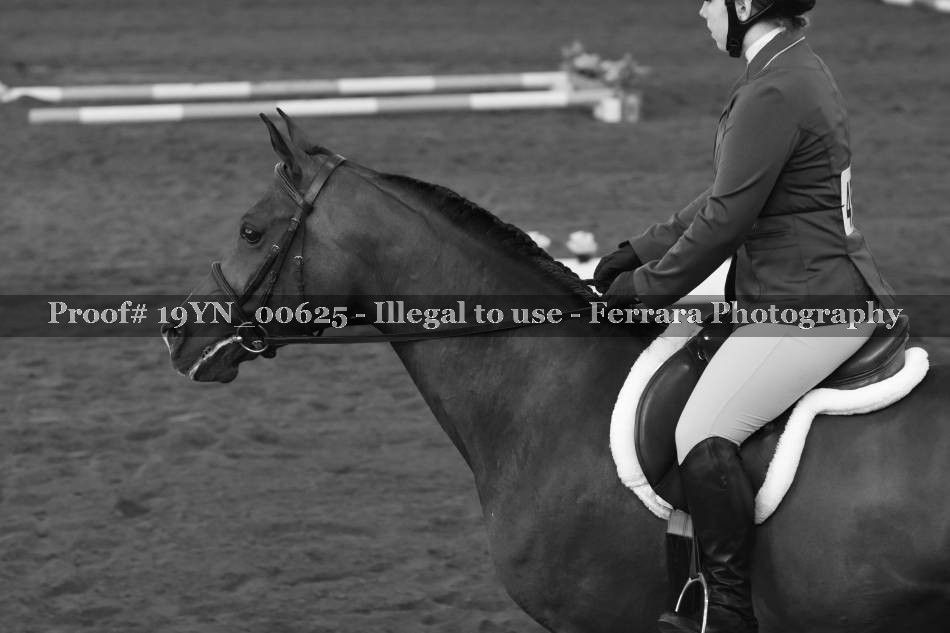 Proof 19YN_00625