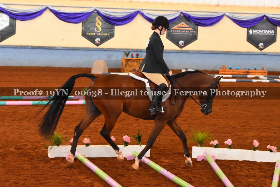 Proof 19YN_00638