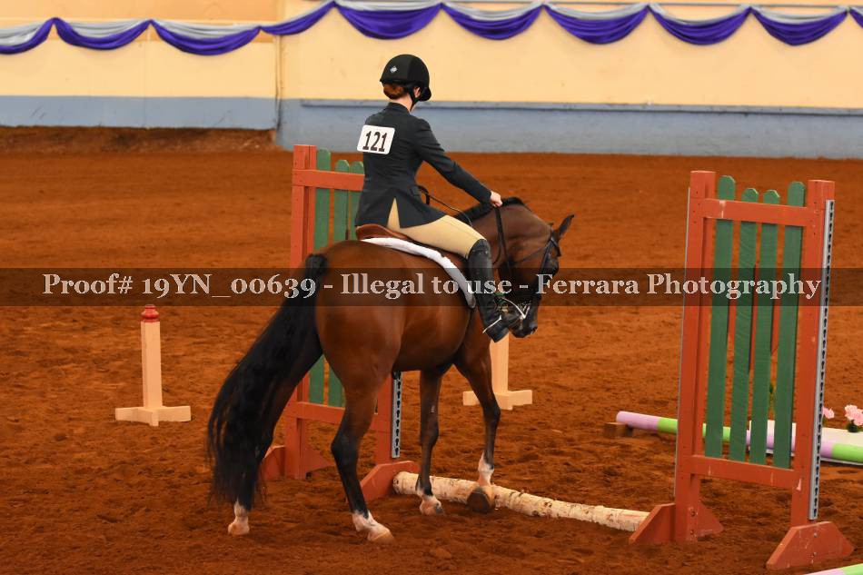Proof 19YN_00639