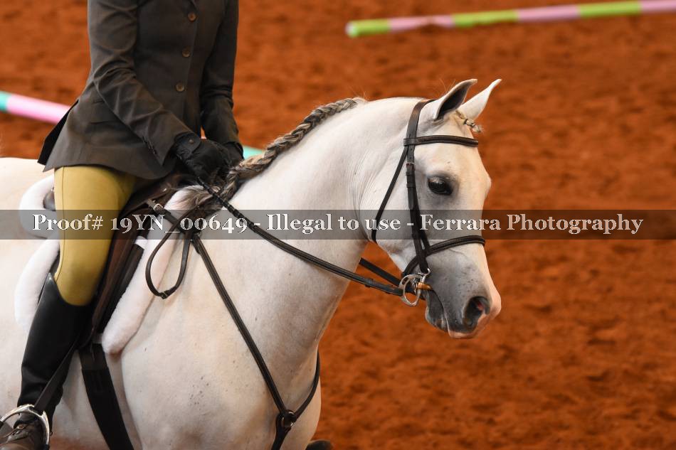 Proof 19YN_00649