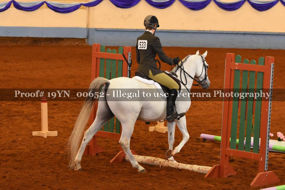 Proof 19YN_00652