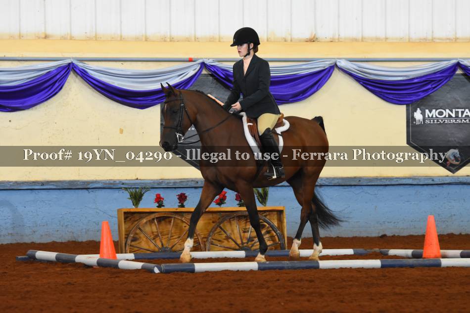 Proof 19YN_04290