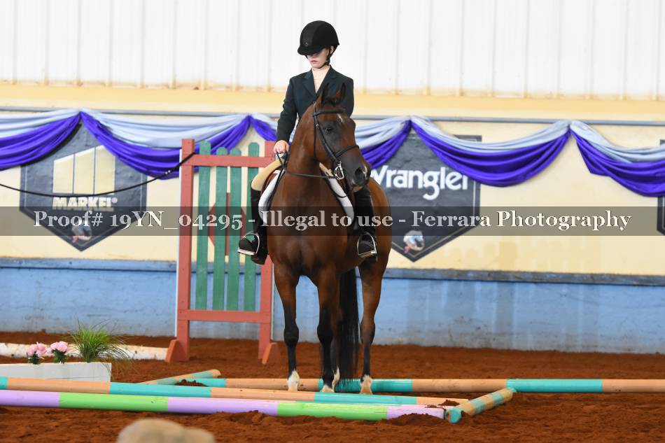 Proof 19YN_04295