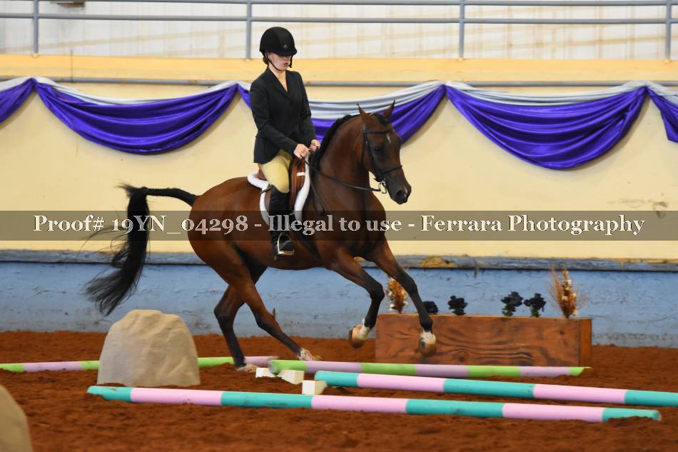 Proof 19YN_04298