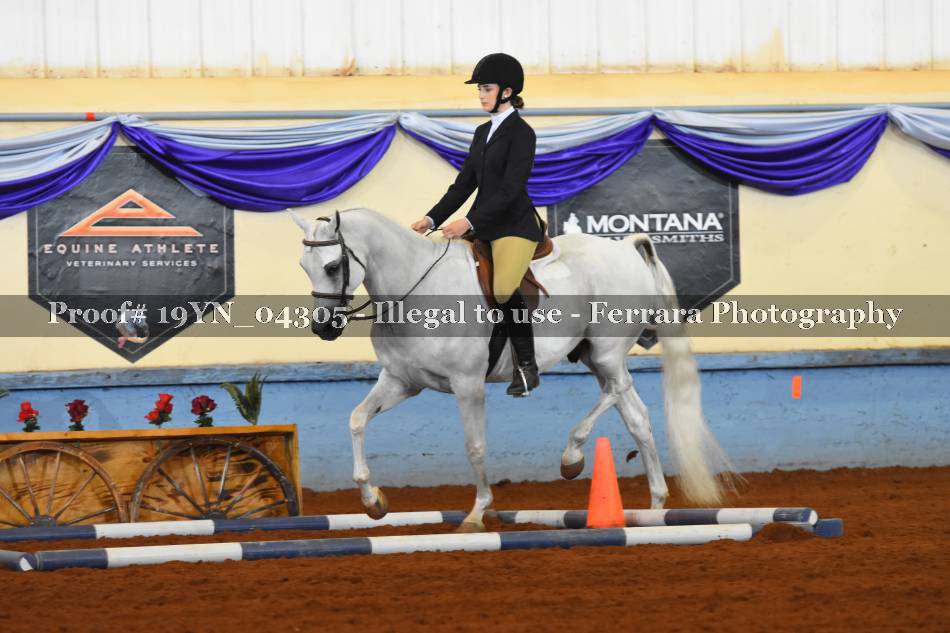 Proof 19YN_04305